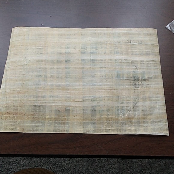 Large papayrus ! - Picture 5 of 8